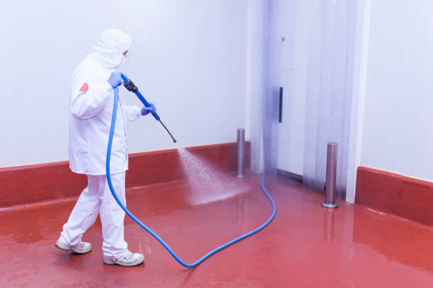 Best Rust Removal  in Apple Creek, OH